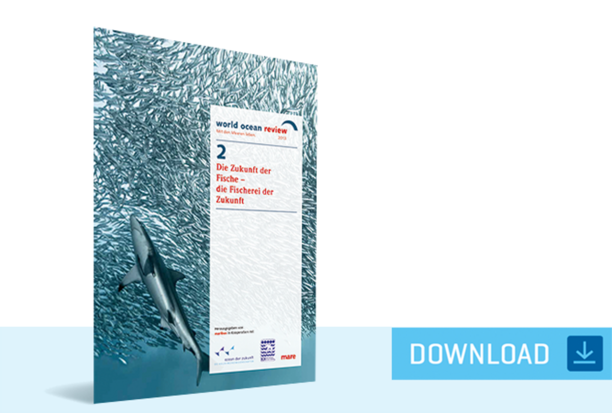 WOR 2: The Future of Fish – The Fisheries of the Future