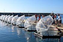 Mesocosms at Gran Canaria.