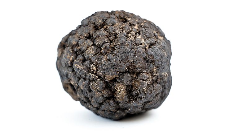 Manganese nodule from the ­Northwest Pacific Ocean.
