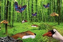  "Humans and animals; hand in hand", Alina (17)