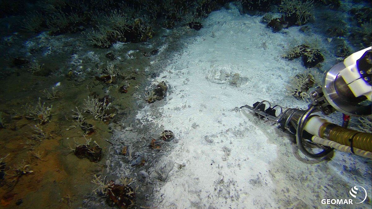 [Translate to English:] Slurp an Microbial Mat