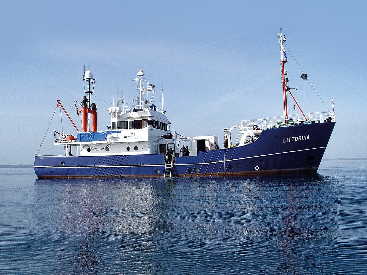 picture Littorina