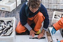 Eine Frau an Bord eines Forschungsschiffes vermisst einen kleinen Fisch.