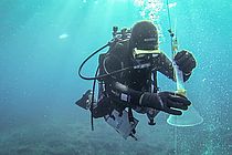 Ein Forschungstaucher untersucht Gasblasen vor der italienischen Insel Panarea. Foto: Christian Howe, http://www.h2owe.de/