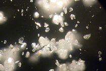 Mikroplastik