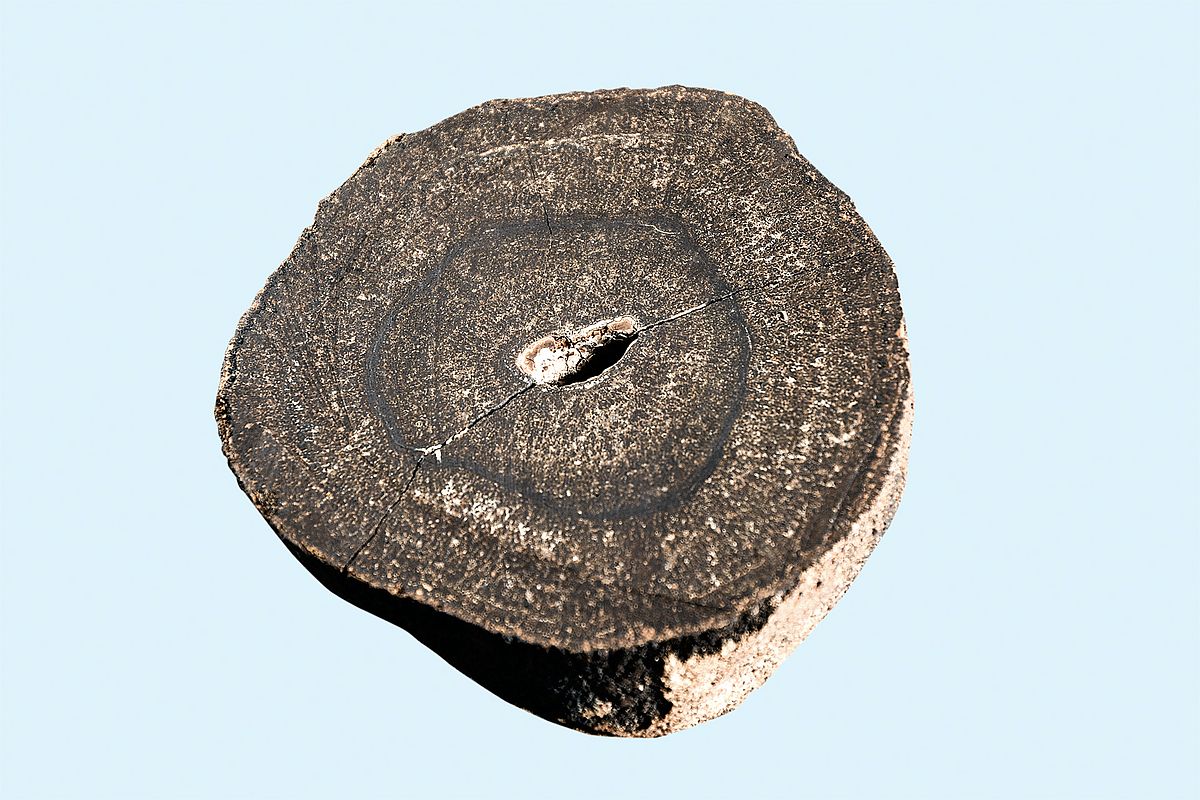 Section through a manganese nodule.