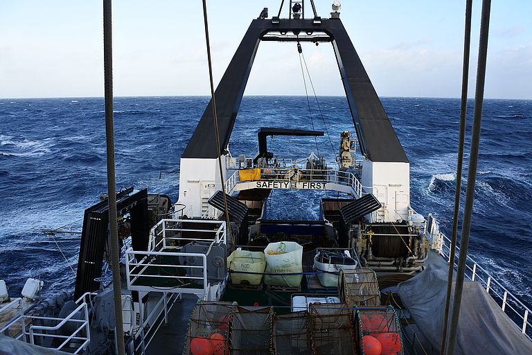 Im Untersuchungsgebiet vor Neuseeland. Im Untersuchungsgebiet vor Neuseeland. Foto: C. Timm, GEOMAR.