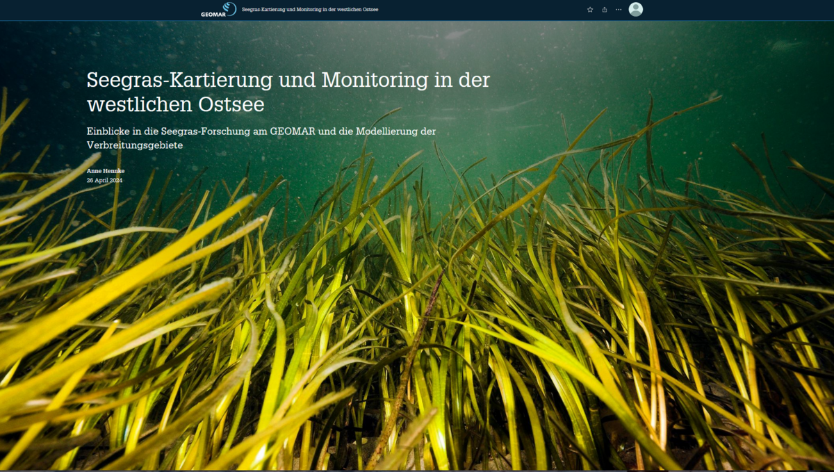 Seegras-Storymap