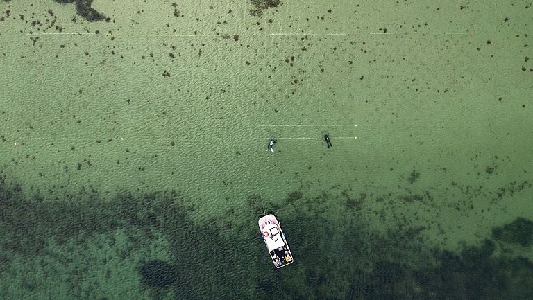 Forschungstaucher bei der Anlegung eines Seegras-Restaurationsfeldes in der Flensburger Förde 2022